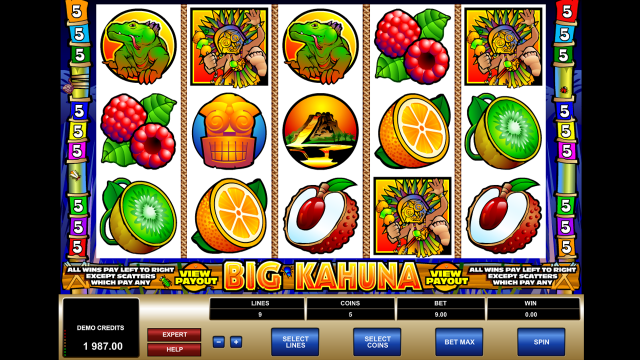 Игровой интерфейс Big Kahuna 9